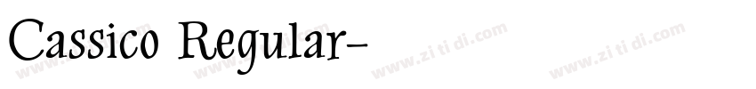 Cassico Regular字体转换